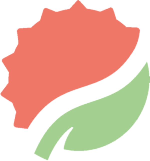 Lychee Studio logo